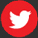 Macedonian voice over twitter